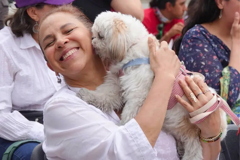 ¡Cuida a tu mascota! Anuncian nuevas jornadas de esterilización gratuita en Querétaro