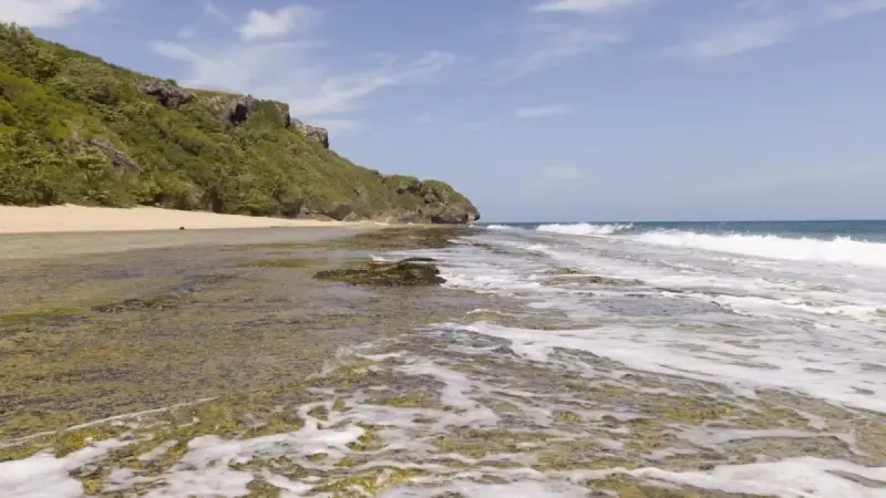 La temperatura media diaria de la superficie del mar registra nuevo récord de 21.1 grados Celsius
