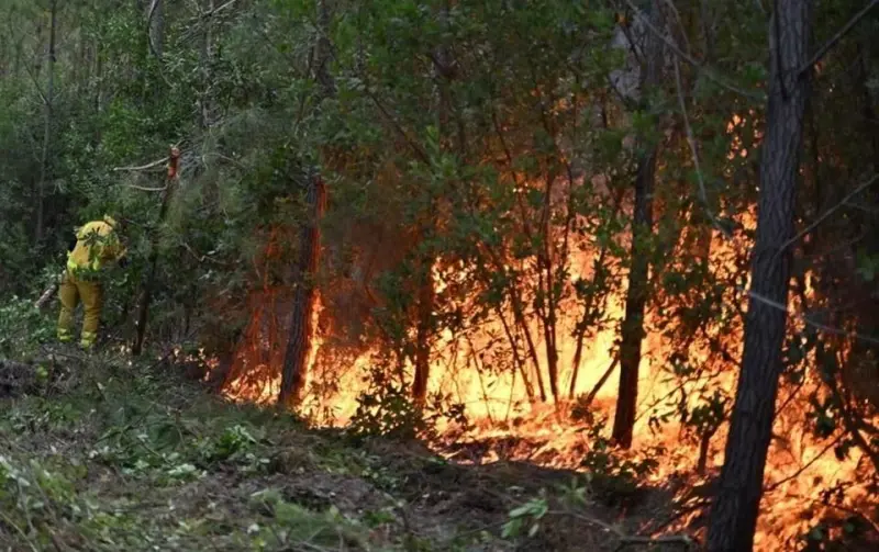 Lucha Europa contra incendios y la lluvia da un respiro