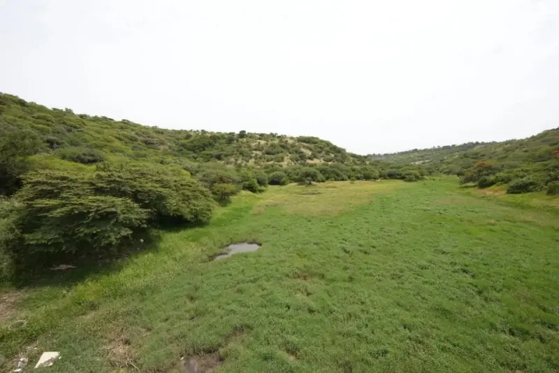 Querétaro sumará 12 hectáreas a la conservación ambiental; anuncia Felifer Macías