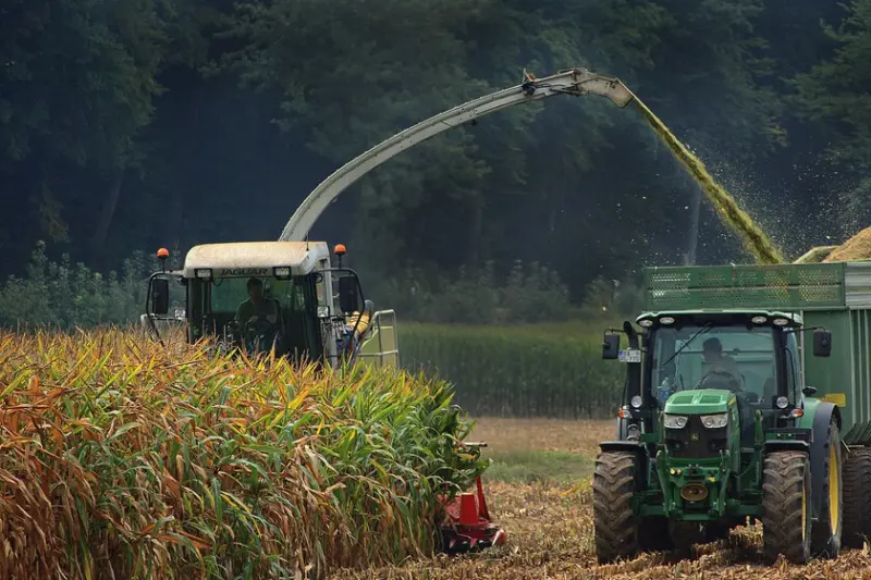 México tiene un nuevo laboratorio para el campo: Bayer quiere producir más maíz con menos agua