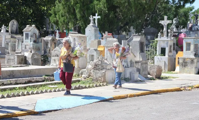 ¿Las bóvedas de cementerio son propiedad privada? Esto dice el Colegio Notarial