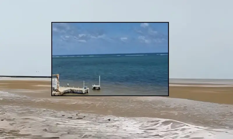 Año muy dificil para el Caribe mexicano por la alta presencia de sargazo y expertos advierten que podría no tener fin a corto plazo