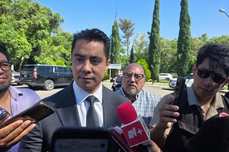 Piden Kuri y Felifer Macías evitar uso político tras caída de árbol en la Alameda