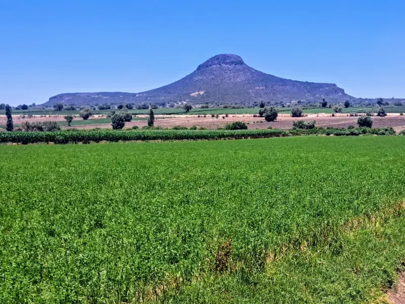 Campesinos de Tula-Tepeji exigen mayor vigilancia por ola de robos