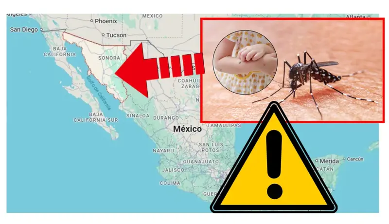 Estos 7 municipios concentran 9 de cada 10 casos de dengue en Sonora y uno supera a Hermosillo en incidencia