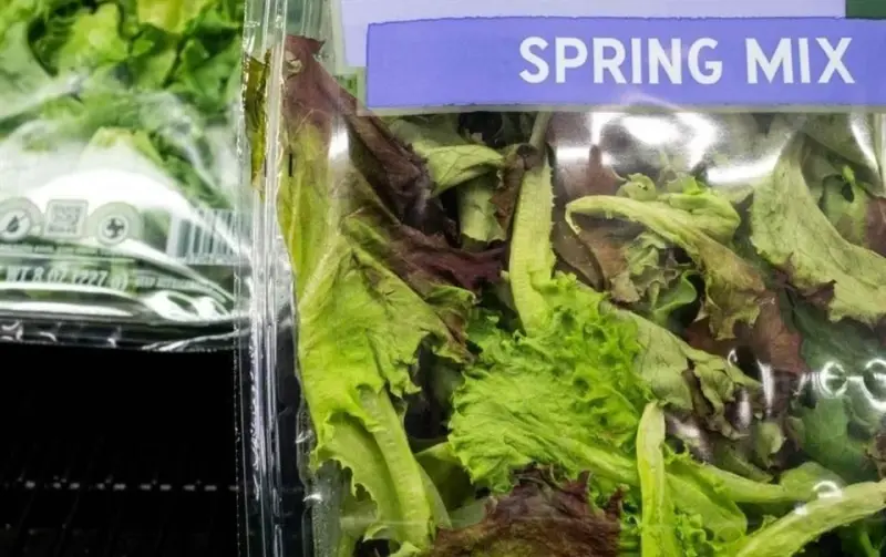 Sin presencia aquí de lechuga contaminada