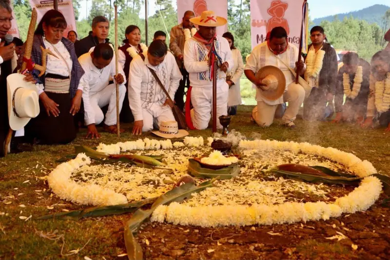 Resguardan pueblos indígenas el 80% de la biodiversidad del planeta