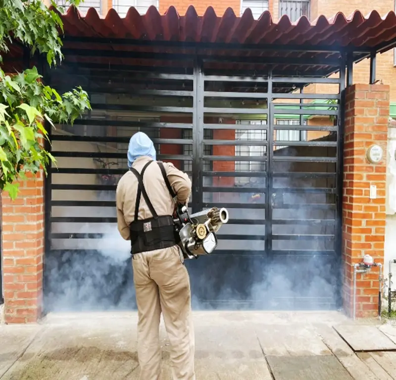 Bajan casos de dengue en Guanajuato