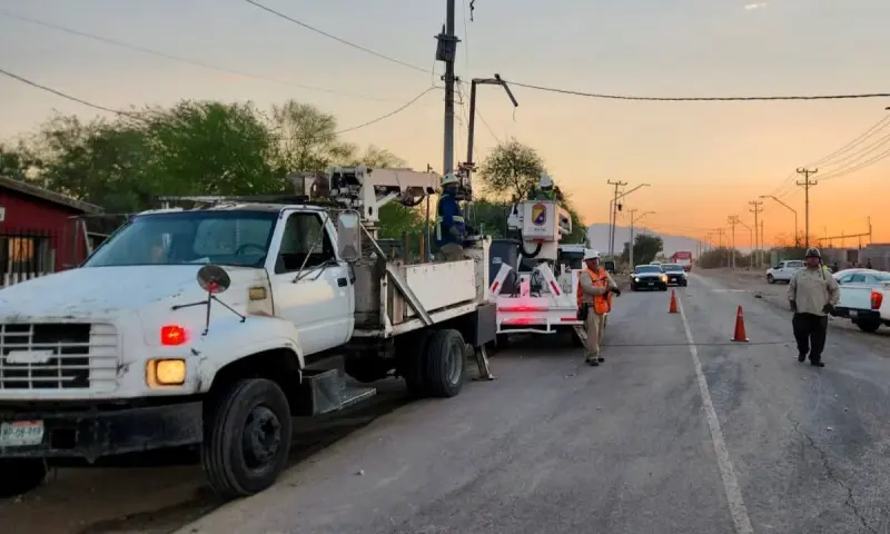 Tras tormentas del viernes, atienden 22 reportes por árboles y ramas caídas en Mexicali