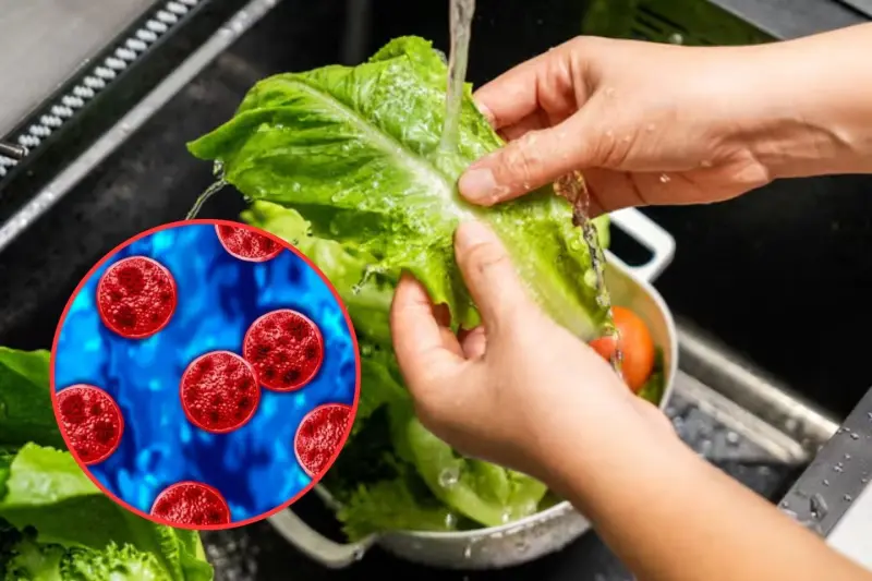 Sonora sin casos de ciclosporiasis; Secretaría de Salud recomienda extremar higiene en alimentos ante brote en Estados Unidos