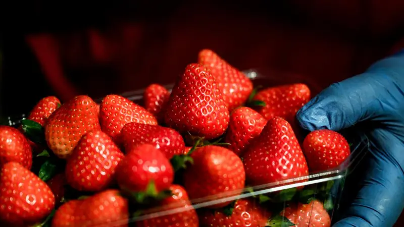 CNA advierte posible impacto de caso de fresas en otros productos agroalimentarios