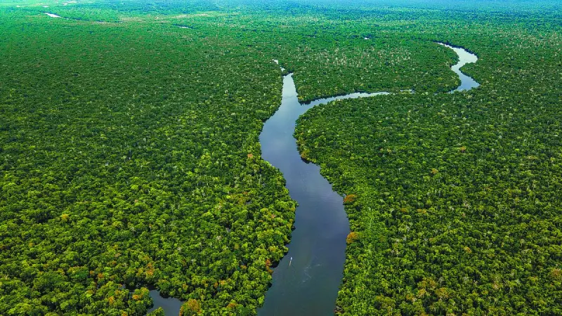 Asesinan a líder indígena que patrullaba bosques en la Amazonía de Perú