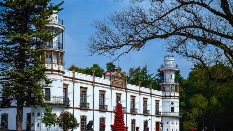Universidad Chapingo aprueba adelantar elección para elegir rector