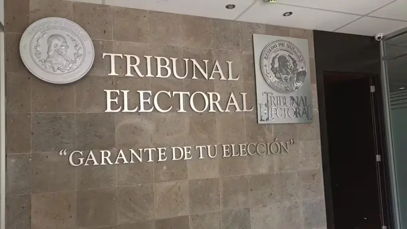 Tribunal Electoral ordena al INE volver a verificar a los aspirantes a observadores electorales para detectar vínculos con programas sociales tras revocar el cambio que había sustituido el cotejo de registros por una declaración