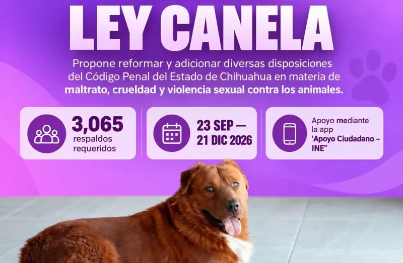 Conoce como participar en la etapa de 𝐫𝐞𝐬𝐩𝐚𝐥𝐝𝐨 𝐜𝐢𝐮𝐝𝐚𝐝𝐚𝐧𝐨