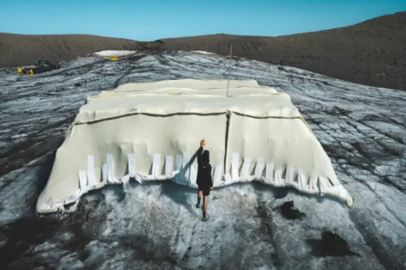 En Suiza usaron lana de ovejas para cubrir un glaciar y descubren que puede proteger el hielo como si fueran lonas sintéticas
