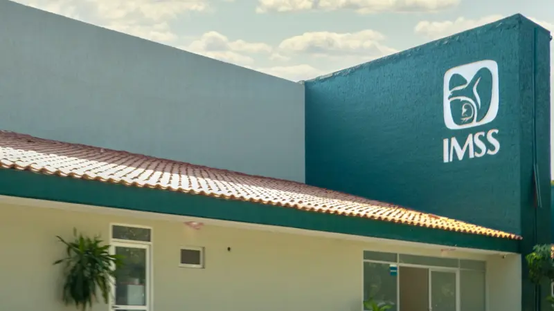 ¿Qué es y para qué sirve la credencial blanca que el IMSS otorga a jubilados?