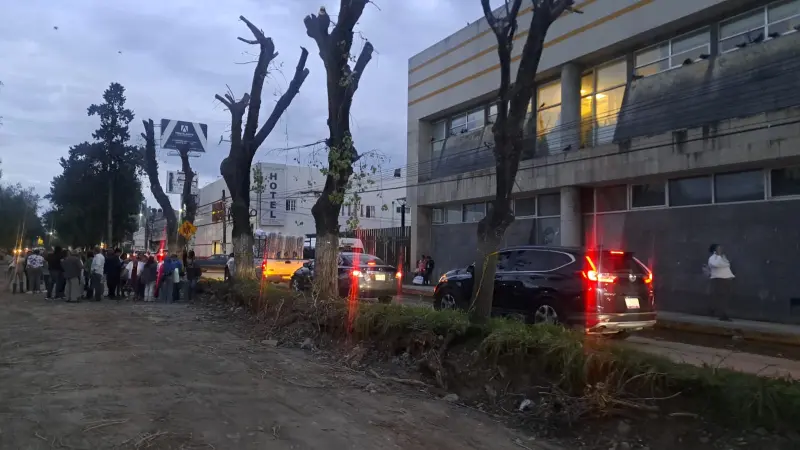 Inviable plantar 120 árboles en calzada de Tula en reconstrucción