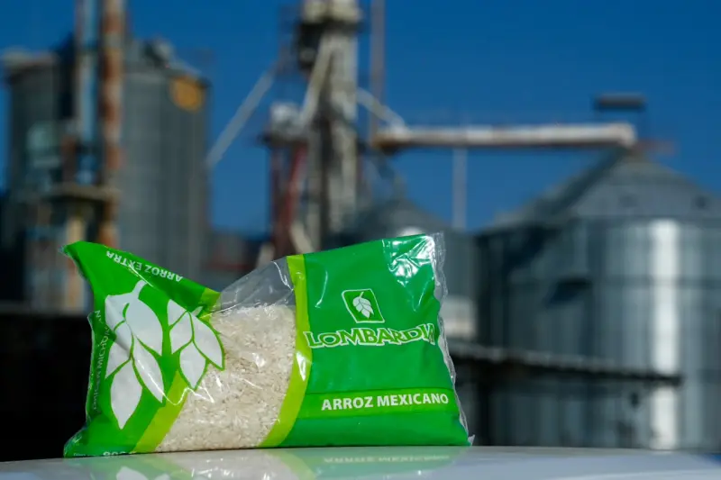 Garantizados, incentivos para productores de trigo y arroz en Michoacán