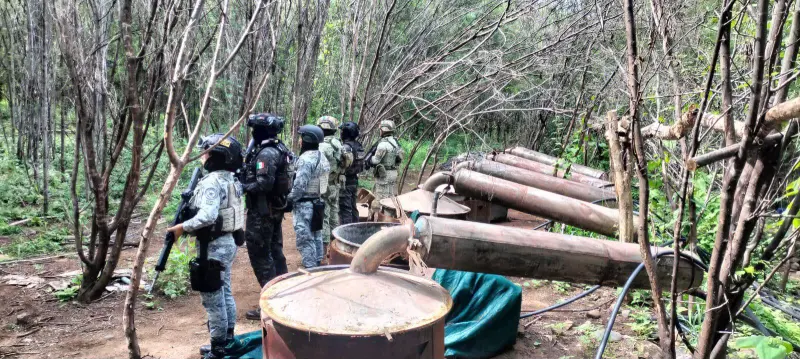 Desmantelan 4 laboratorios clandestinos en Michoacán y Guerrero