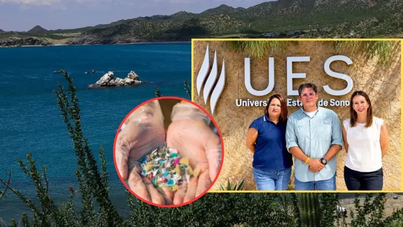 Microplásticos en el Golfo de California serán estudiados por sus posibles efectos en la biodiversidad marina, pesca y acuicultura mediante una investigación de la Universidad Estatal de Sonora con casi 2 millones de pesos de financiamiento