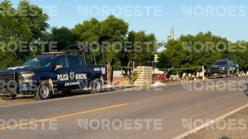 Asesinan a otra mujer en Escuinapa; suman 14 víctimas