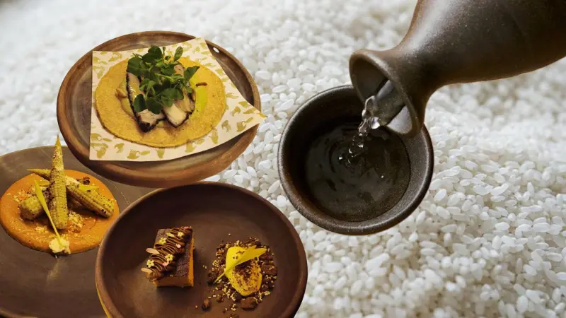 El sake de Culiacán que se sirve con tacos y sigue tradición japonesa: Solo lo elaboran personas de buen humor