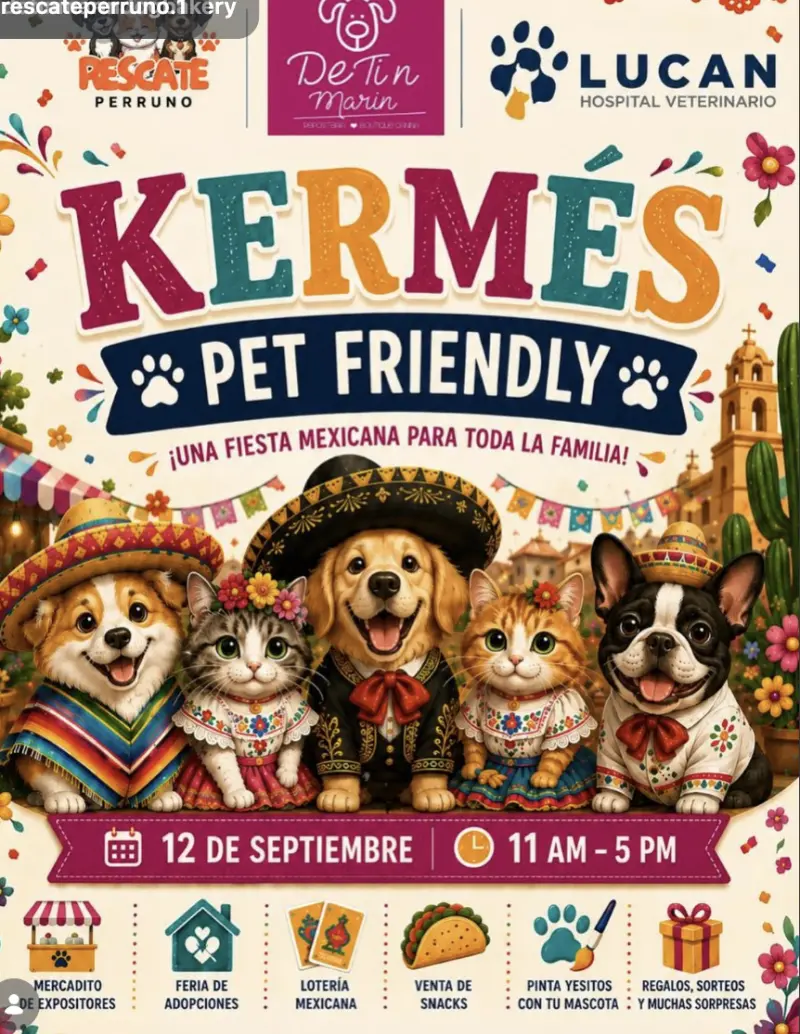 Lotería, adopciones y premios: alistan kermés mexicana para mascotas en Saltillo