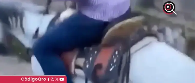 Investigan probable caso de maltrato animal en Pedro Escobedo