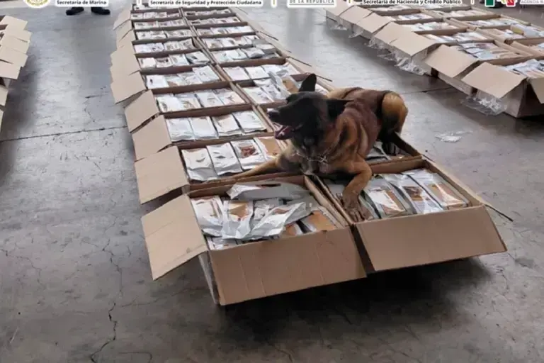 Decomisan mil 77 kilos de café con presunta cocaína en el Aeropuerto de CDMX