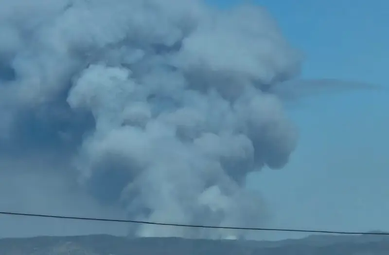 Incendio afecta 80 hectáreas de bosque de pino en la Sierra de Juárez