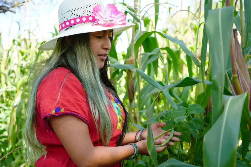 Día Internacional de las Mujeres Indígenas: tres lideresas que siembran respuestas frente al cambio climático