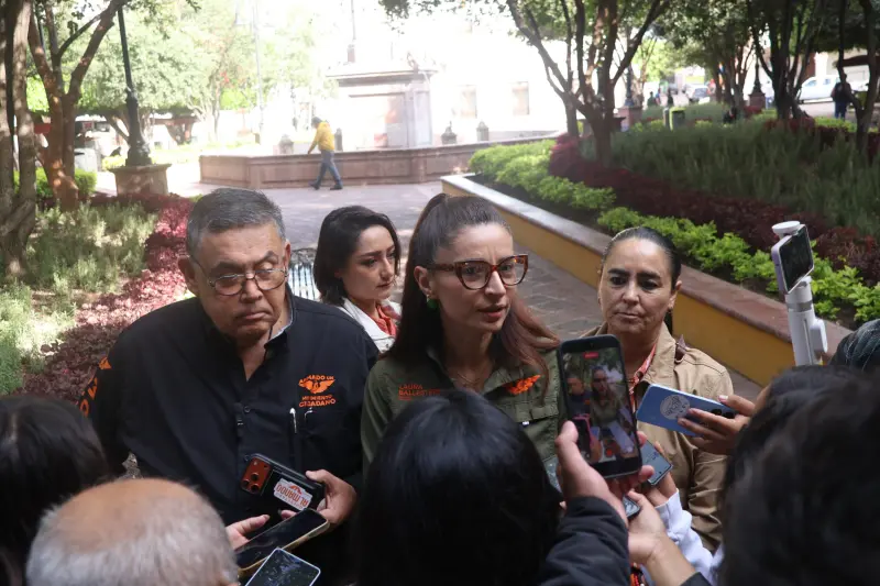 Solicita MC protección de arbolado cercano al Tren México-Querétaro 
