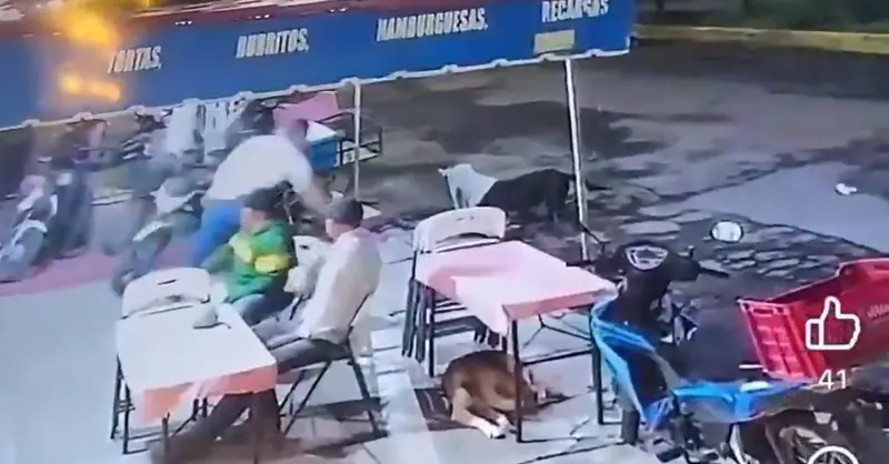 Maltrato animal en Michoacán: Arrojan agua hirviendo a dos perros de la calle