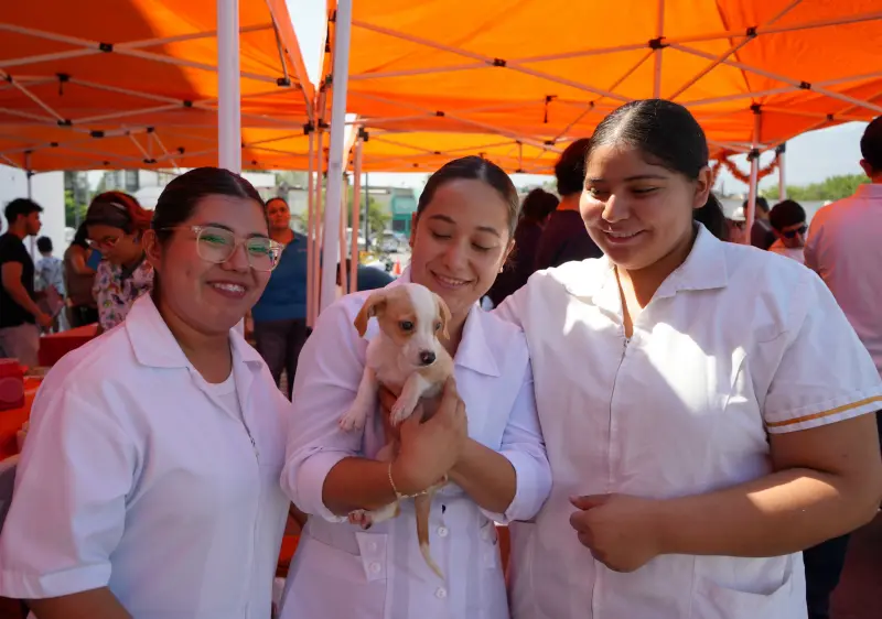 Llama Secretaría de Salud a reforzar vacunación antirrábica de perros y gatos