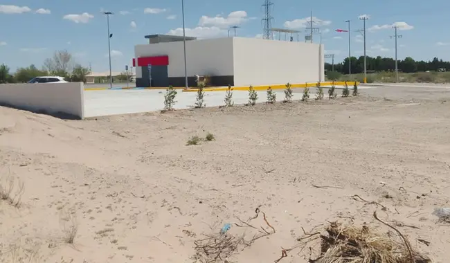 'Descubre' y clausura Profepa tienda irregular en Samalayuca