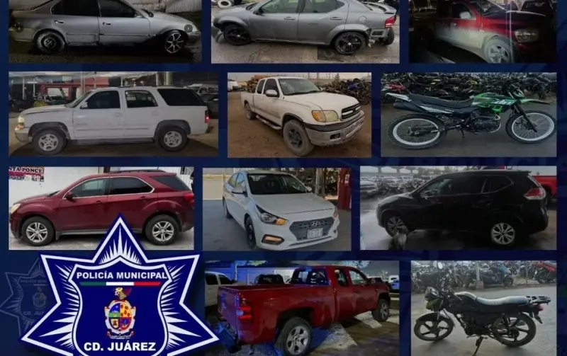 Asegura SSPM 12 vehículos con reporte de robo