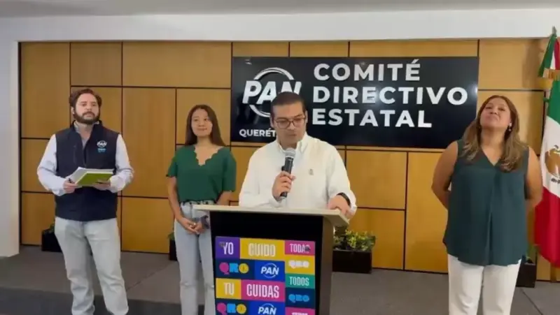 VIDEO: PAN alerta por retiro de 90 hectáreas de vegetación por Tren México-Querétaro