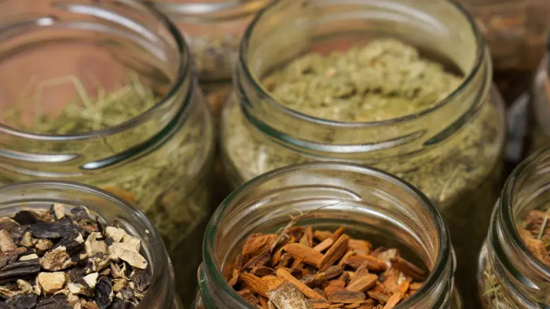 Plantas medicinales para la circulación: ¿cuáles son y son seguras?