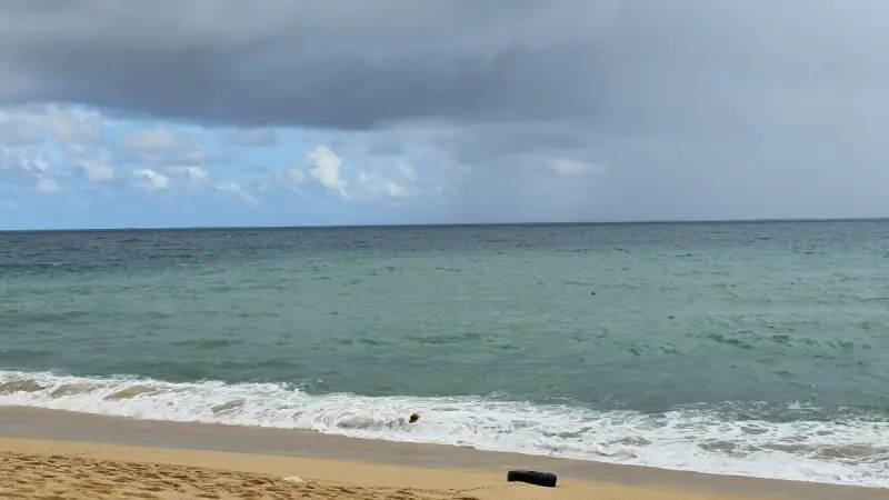 Cierran 26 playas en Los Cabos ante Polo; arrestan a 10 por retar el oleaje