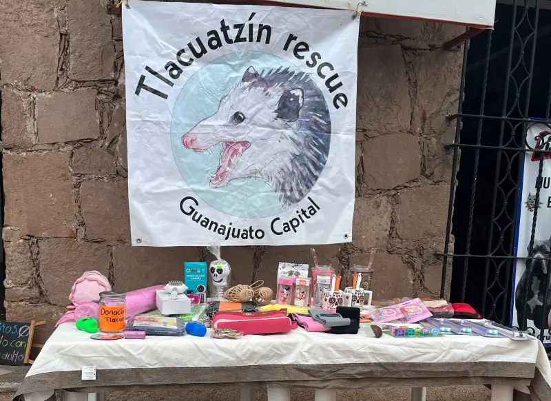 Tlacuatzín Rescue organiza bazar solidario