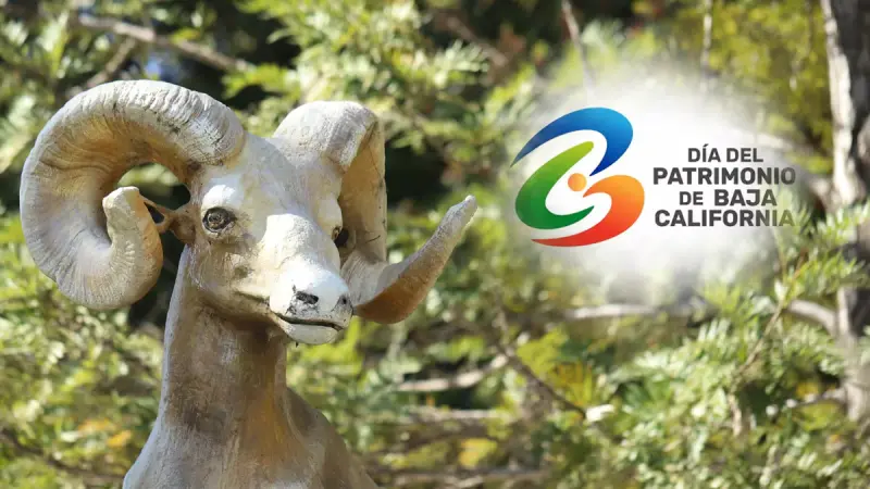 Día del Patrimonio de Baja California prepara su segunda edición con actividades gratuitas en los siete municipios