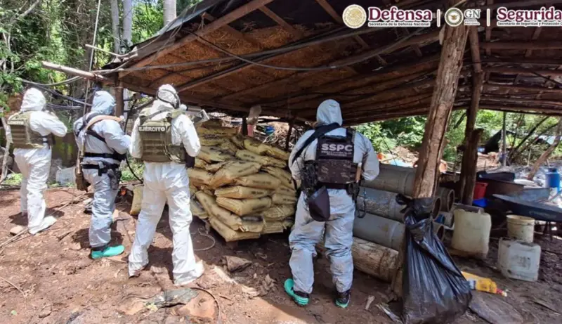 Desmantelan cuatro laboratorios clandestinos en Michoacán y Guerrero; aseguran 10 toneladas de precursores