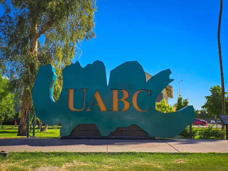 UABC pone fecha límite para definir su participación en el PREP de Baja California