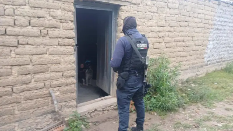 Durango: Atención oportuna salva la vida de adolescente picada por un alacrán