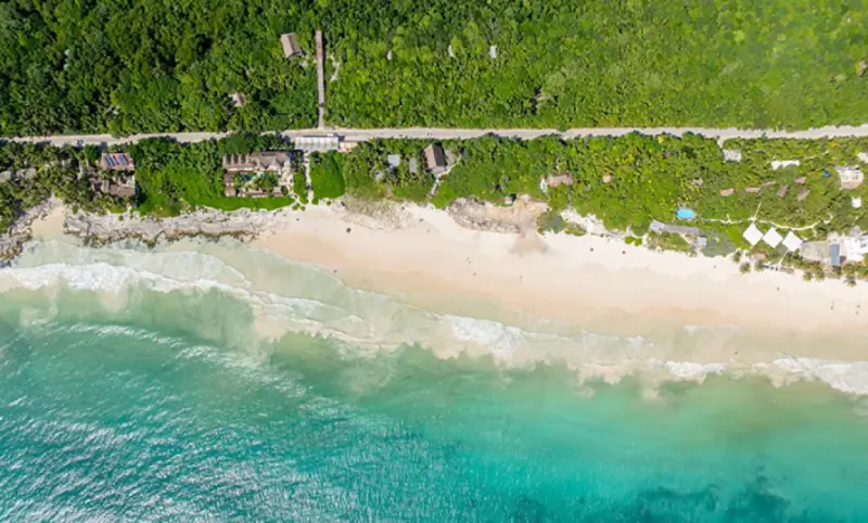 Busca Tulum ordenar el Parque del Jaguar