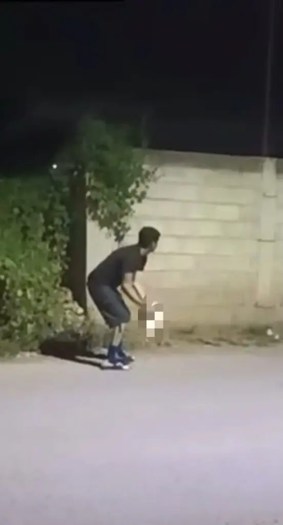Buscan sancionar a joven señalado por maltrato animal contra un gato en Colón