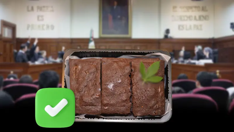 ¿Brownies mágicos? Corte valida preparación de alimentos con cannabis para consumo propio