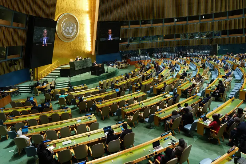 Coyotes a la sombra de la Asamblea